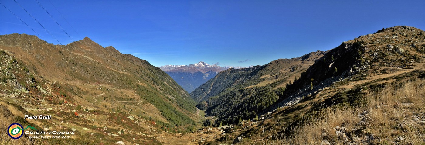 25 Vista panoramica dal Passo di Dordona (2061 m) sulla Val Madre con vista sul Disgrazia (3768 m) .jpg